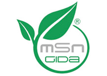 MSN Gıda logosu