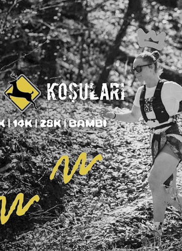 Geyik Koşuları web tasarım projesi
