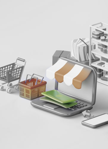 Msn Gıda E-ticaret web tasarım projesi